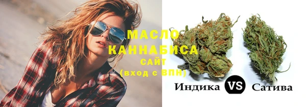 дмт Дмитров