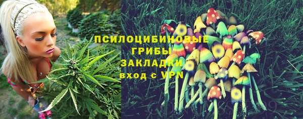 таблы Дмитровск