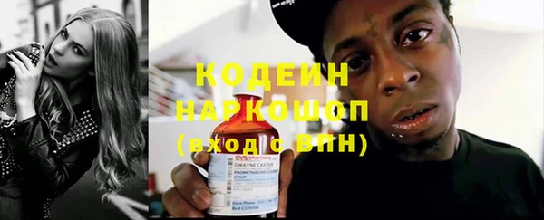 дмт Дмитров