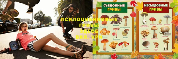 дмт Дмитров