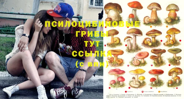 дмт Дмитров