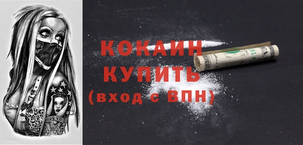 дмт Дмитров
