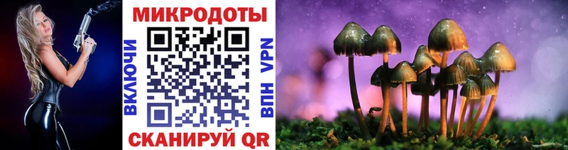 нарко площадка официальный сайт  Дмитровск  Галлюциногенные грибы Psilocybe 
